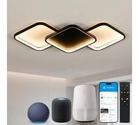 Sky angle Smart Plafonnier LED avec Commande Vocale Alexa/Google Home, Dimmable, Lumière LED pour Salon, Chambre, Salle de Bain, Cuisine