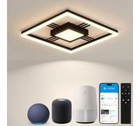 Sky angle Smart Plafonnier Moderne Noir avec Télécommande - 40W, 4800 LM, Dimmable - Luminaire LED pour Salon et Chambre