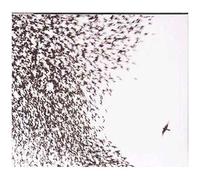 Wilco – Sky Blue Sky – CD – Neuf – Édition Enhanced