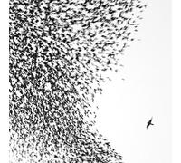 Wilco - Sky Blue Sky [New CD] Enhanced