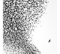 Wilco – Sky Blue Sky – CD – Neuf – Édition Enhanced