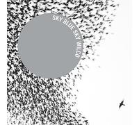 Sky Blue Sky (Vinyl) (2LP) by Wilco [VINYL] NEUF