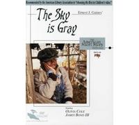 Sky Is Gray: American Short Story Collection [Import USA Zone 1]