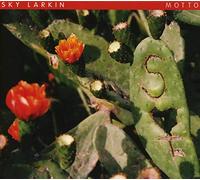 Sky Larkin - Motto