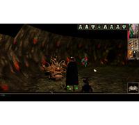 Skybound Games Neverwinter Nights : Enhanced Edition