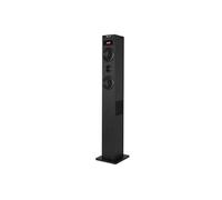 SKYCHARM 2.1 - Haut-parleur - sans fil - Bluetooth - 40 watt - noir
