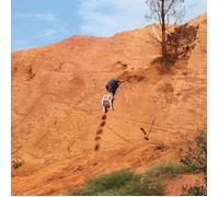 Skydiving onto the library roof / Everything for everyone (Vinyl)