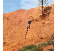 Skydiving Onto The Library Roof / Everything For Everyone [Vinyl]