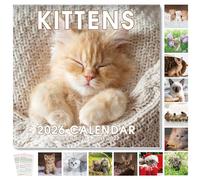 SKYDUE Calendrier mural 2026 chatons 30,5 x 61 cm ouvert, calendrier chat de mars 2026 à juin 2027 avec autocollants, calendrier mensuel en papier épais pour l'organisation et la planification de la