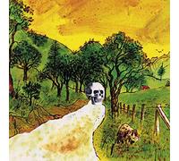 Skygreen Leopards - Disciples of California [Import]