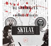Skylax House Explosion