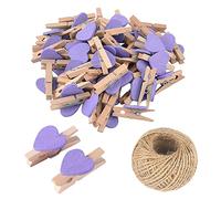 SKYPRO 50 pinces à linge en bois violet en forme de cœur, petites pinces à linge multicolores avec cœur, pinces à photos en forme de cœur de 3 cm, minuscules pinces à linge avec ficelle pour affichage