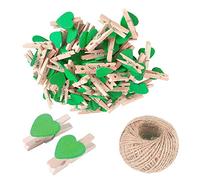 SKYPRO Lot de 25 mini pinces à linge en bois vertes en forme de cœur, petites pinces à linge multicolores avec cœur, clips photo cœur 3cm, petites pinces à linge avec ficelle pour affichage de photos