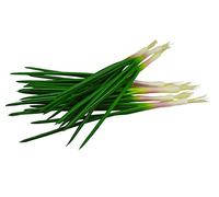 Skyseen Lot de 5 Simulation artificielle réaliste Green Onions oignons verts Faux Légumes pour Home Décor de cuisine 38,1 cm