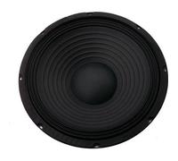 Skytec SP1000 Haut-parleur 10 pouces (25 cm) - 250 Watts max, Suspension dure, Bobine résistante à la chaleur, Aimant ventilé