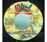 SKYY 45 RPM Skyyzoo / Don't Stop
