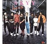 SKYY - INNER CITY LP (VINYL ALBUM) UK SALSOUL 1984