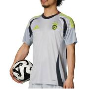 Maillot Third Benfica 24/25 Light Solid Grey M