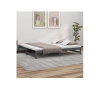 Vidaxl Lit Coulissant Gris 2x(90x200) Cm Bois De Pin Massif Marron