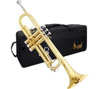 Slade Bb Trompette Instrument en Feuille de Cuivre Standard Ensemble de Trompette en Cuivre pour Étudiants Débutants Trompette Professionnelle Or Argent avec Boîte, Gants d'embouchure