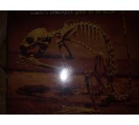 Slash'S Snakepit - Good to Be Alive [Import]