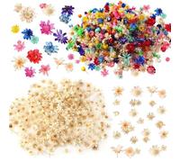 SLAXJNE 300 Pièces De Décorations De Fleurs Séchées, Mini Fleurs, Fleurs Séchées pour L'Artisanat, Décorations De Fleurs Séchées DIY, Peuvent Être Utilisées pour Décorer des Bijoux en Résine, Etc.
