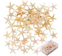 SLAXJNE Élément De Décoration en Forme D'Étoile De Mer, 50 Pièces, Accessoires De Photographie, Décoration De Maison, Matériaux Artisanaux DIY, Micro Ornements De Paysage