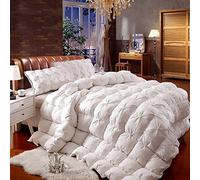 SLDAGe Literie Couette, Microfibre de Housses de Couette Couette Couette en Velours Légère Couette Chaude en Hiver Édredon Chaude en Hiver, 220x240cm(Blanche, 5kg)