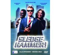 Sledge Hammer-Die komplette Kultserie [Import]