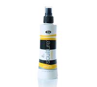 Sleek spray brillant NOUVEAU /LISAP SCULTURE