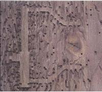 Dj Signify - Sleep No More