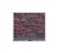 Sleep Token 'Even In Arcadia' CD Jewel Case - Nouveau et Scellé