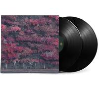 Sleep Token, Neues Album 2025, Even in Arcadia, Opaque Black