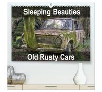 Sleeping Beauties Old Rusty Cars (High Quality Premium Wall Calendar 2026 DIN A2 landscape),CALVENDO 12 Month Wall Calendar: Old, rusty, abandoned classic cars