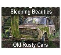 Sleeping Beauties Old Rusty Cars (Wall Calendar 2026 DIN A3 landscape), CALVENDO 12 Month Wall Calendar: Old, rusty, abandoned classic cars