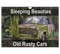 Sleeping Beauties Old Rusty Cars (Wall Calendar 2026 DIN A4 landscape), CALVENDO 12 Month Wall Calendar: Old, rusty, abandoned classic cars
