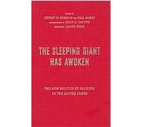 Sleeping Giant Has Awoken Jeffrey W. Robbins, Slavoj (AFT) Zizek (Auteur)