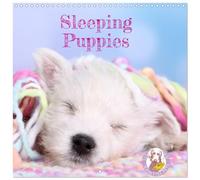 Sleeping Puppies (Wall Calendar 2026 12 × 12 Inch) CALVENDO 12 Month Wall Calendar: cute dog naps