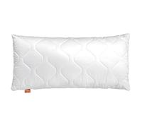 sleepling 196140 Lot de 2 oreillers Komfort 100, Oreiller hôtelier, Oeko-Tex, Lavable à 60 degrés, fabriqué en EU, Garantie de Remplissage, Garantie de Taille, 50 x 70 cm, Blanc