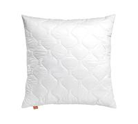 sleepling Coussin 50x50 cm, Petit Oreiller de Garnissage, Anti-allergie & Lavable 60 degrés, fabriqué en UE, Coussin décoratif de canapé 50 x 50 cm