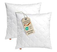 sleepling Lot de 2 coussins de 40 x 40 cm - Rembourrage de canapé - Pour personnes allergiques - Rembourrage 40 x 40 cm - Certifié Ökotex - Lavable jusqu'à 60 °C - Fabriqué en UE - Confort 300