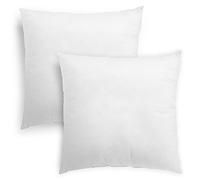 sleepling Lot de 2 Coussins en Fibres 40x40 cm, Petit Oreiller de Garnissage, Anti-allergie & Lavable 60 degrés, fabriqué en UE, Coussin décoratif de canapé 40 x 40 cm