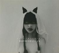 David Sylvian - Sleepwalkers [Vinyl] Gatefold Lp Jacket, 180 Gram, Deluxe Ed