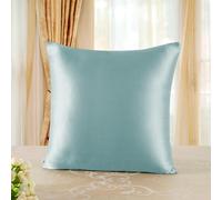 Slep-Taie D'oreiller En Soie, 100% Soie De Mûrier Naturelle 19 Momme, Deux Faces En Soie, Certifiée Oeko-Tex, Douce Pour La Peau Et Les Cheveux, 1 Unité,60x60cm,Vert D`Eau