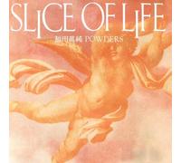 SLICE OF LIFE