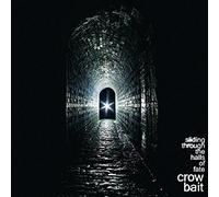 Sliding Through The Halls of Fate
