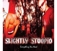 Slightly stoopid - Everything you need