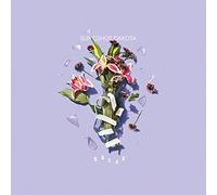 Slingshot Dakota - Break