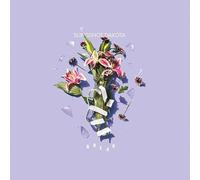 Slingshot Dakota - Break