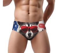 Slip pour homme imprimé lignes 3D Triangle Bikinis sous-vêtements imprimés slips respirants, Drapeau américain raton laveur 11, XXL